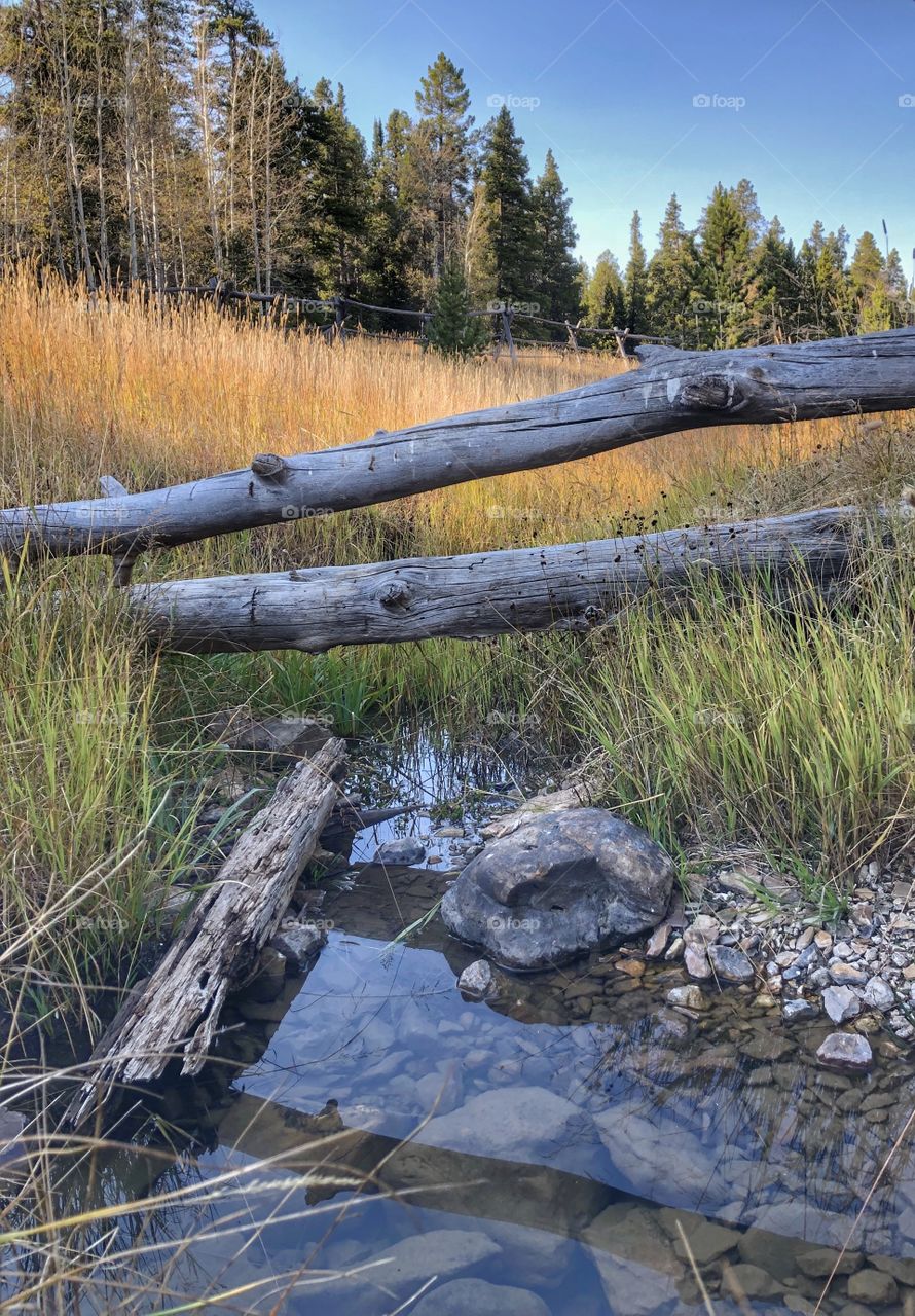 Small creek flowing under an old log fence in a mountain meadow