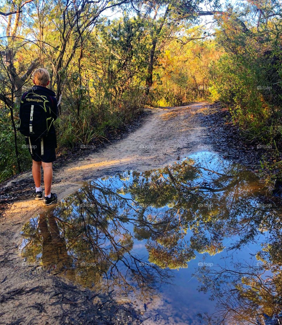 The Australian bush reflected in a puddle 