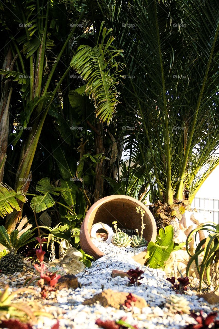 The path leading to the fairy kingdom? This beautiful garden was photographed on our trip to the ocean