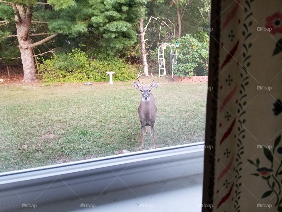 He came to say hello