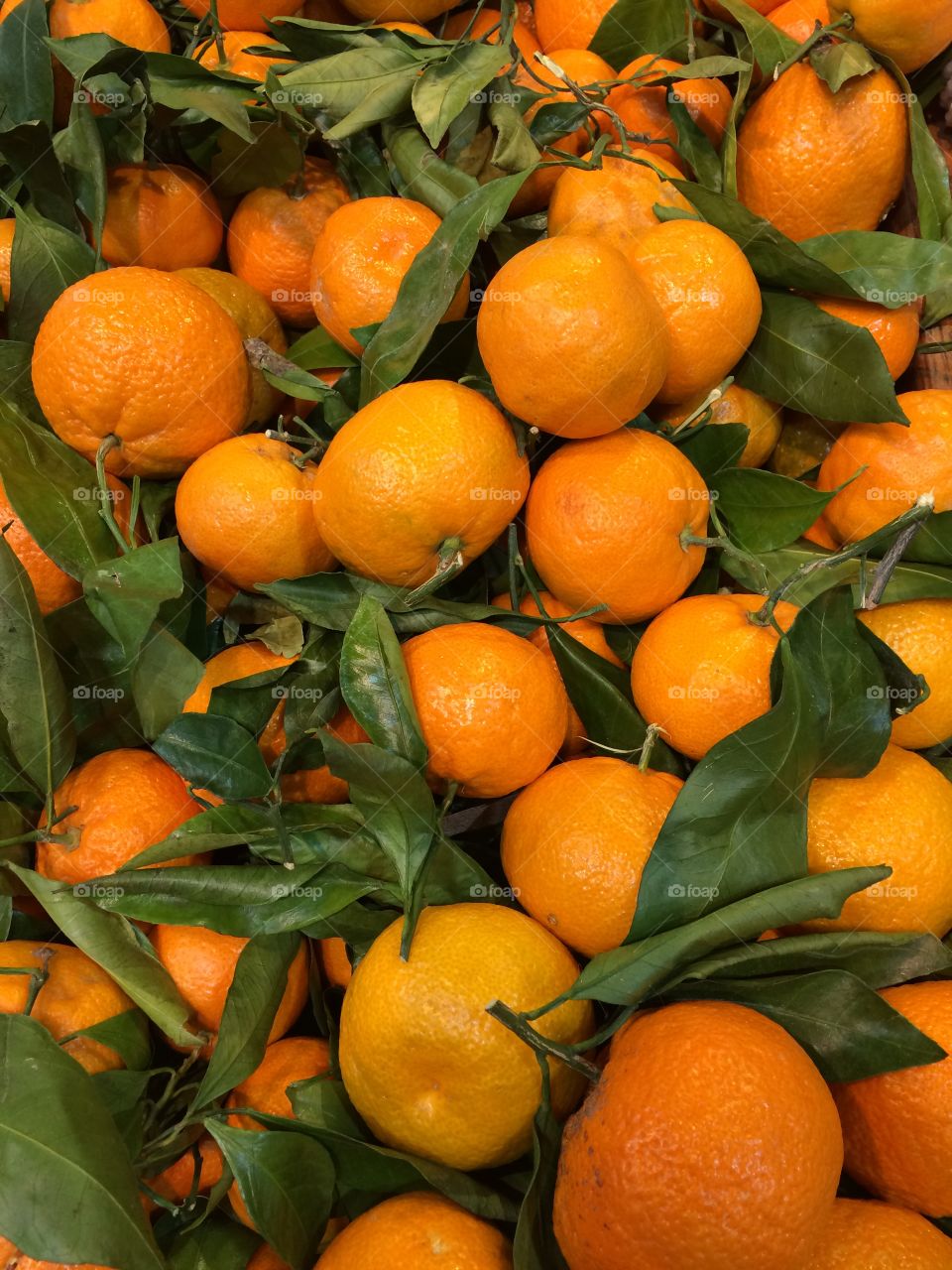 Tangerines 