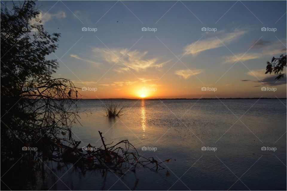 Sunlight getting down