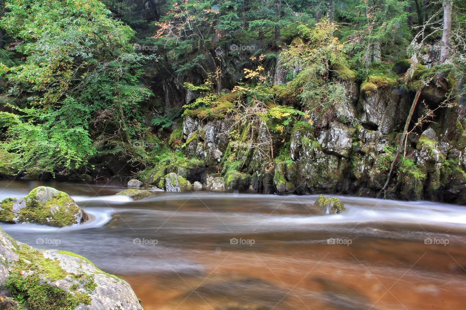 Clear flowing stream in