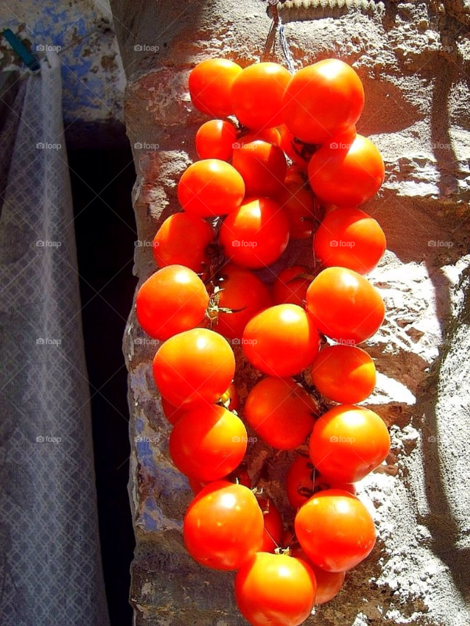 travel house tomatoes greece by merethe