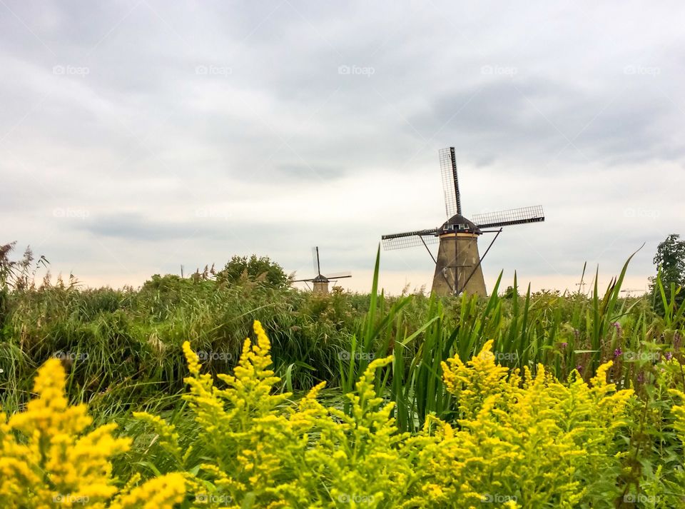 World heritage site of The Netherlands