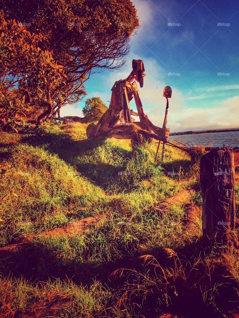 Autumn is here! Albany Bulb