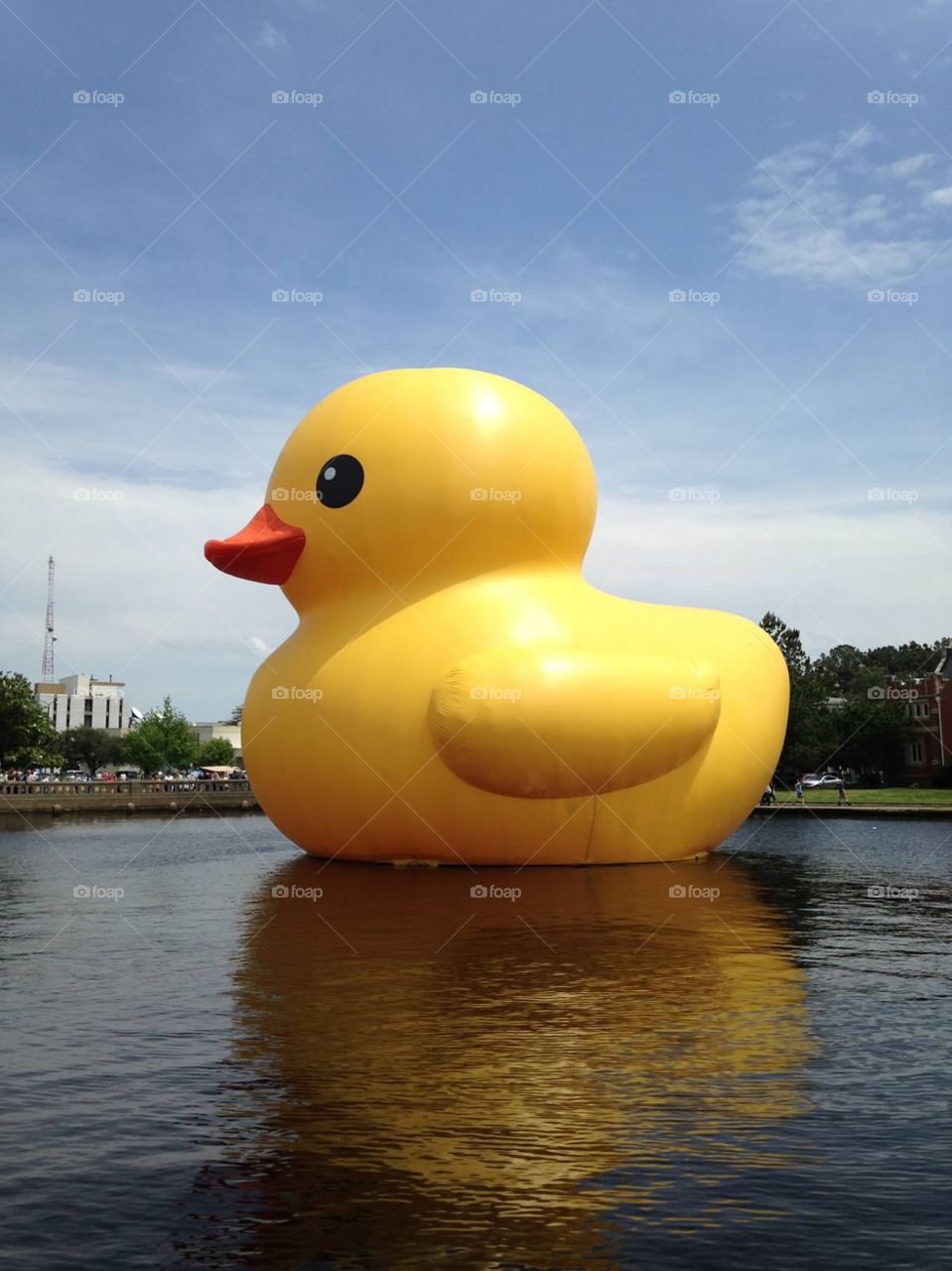 The traveling giant rubber duck - Norfolk, VA