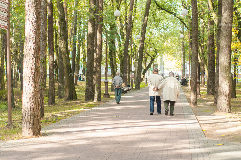 Old couple walking in the park together, photo from the back 