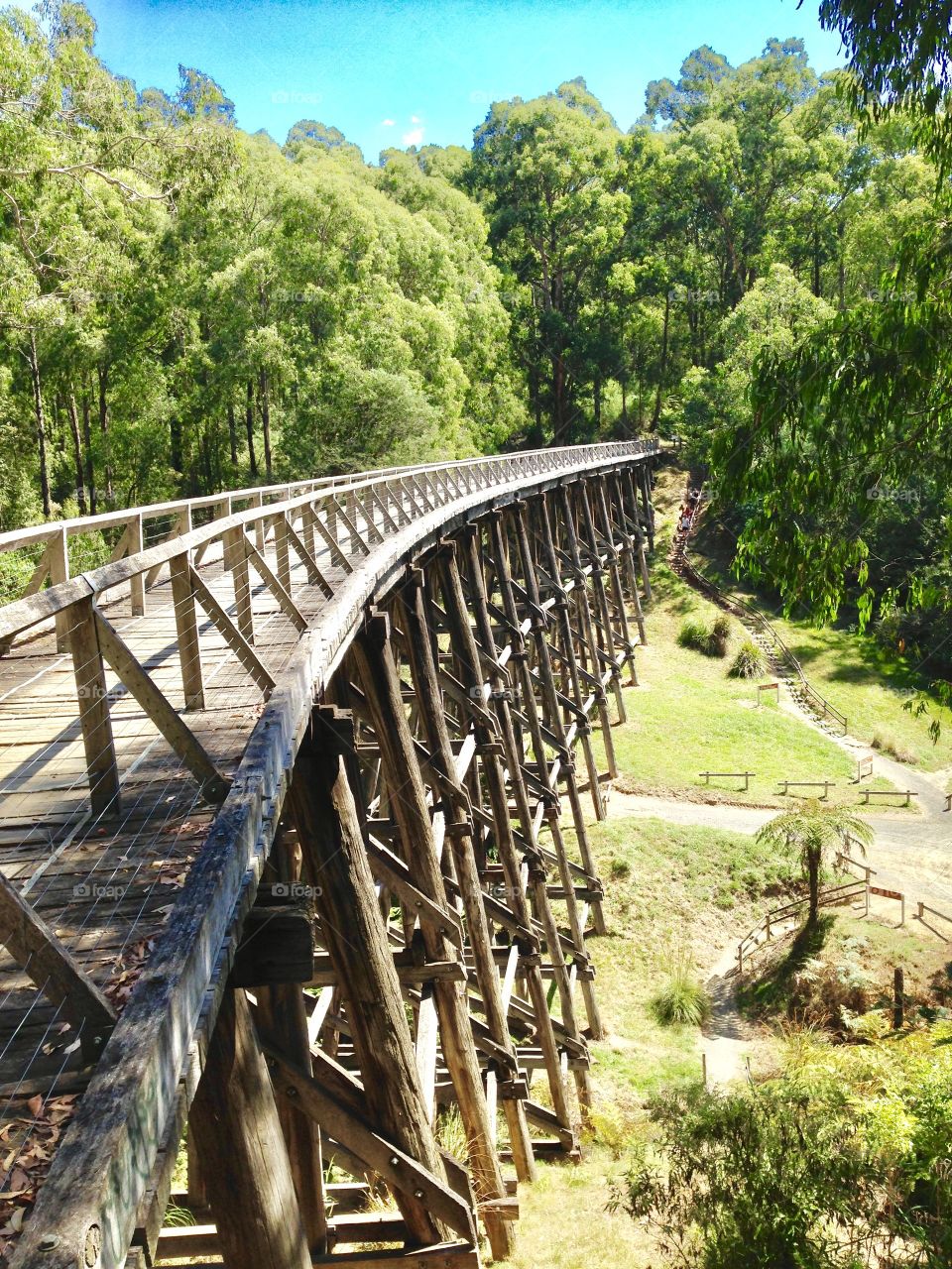 Old Noojee Trestle Rail Bridge