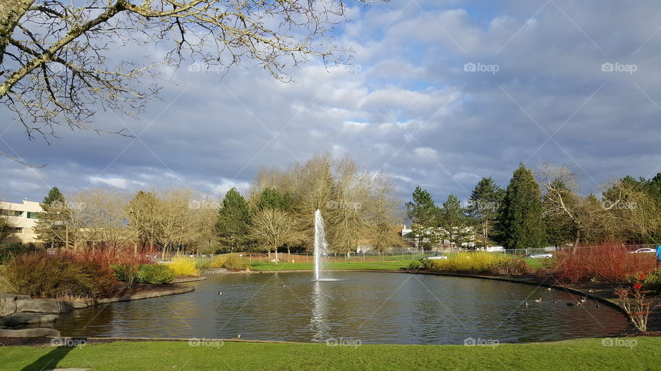 water fountain