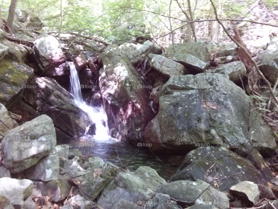 Secret Beauties. Hike in Kathryns Furnace in VA