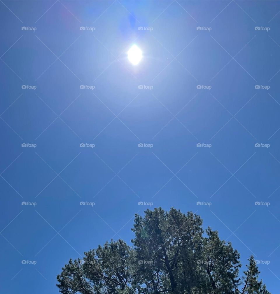 Sunny and spiritual blessings!!!