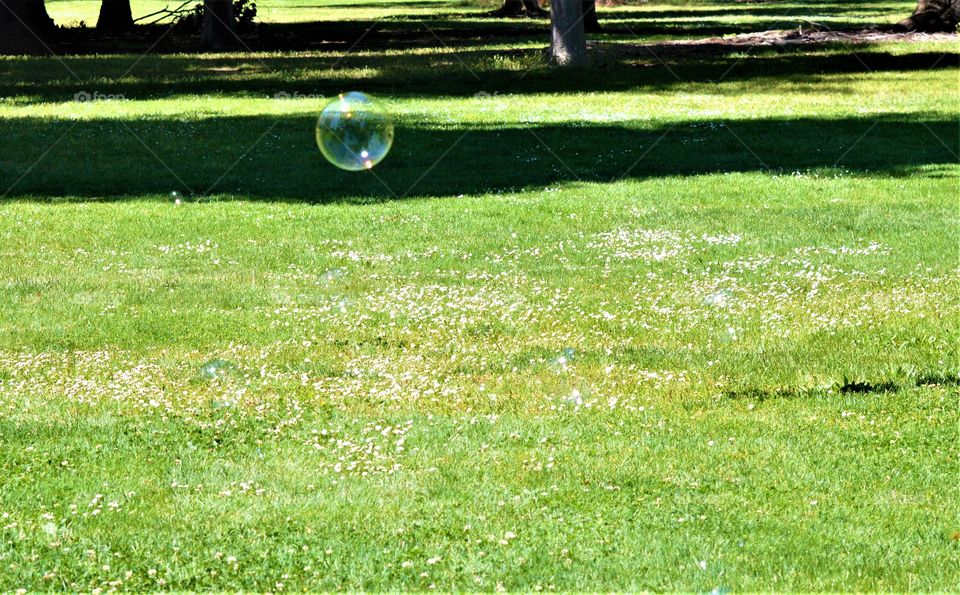 nature bubbles