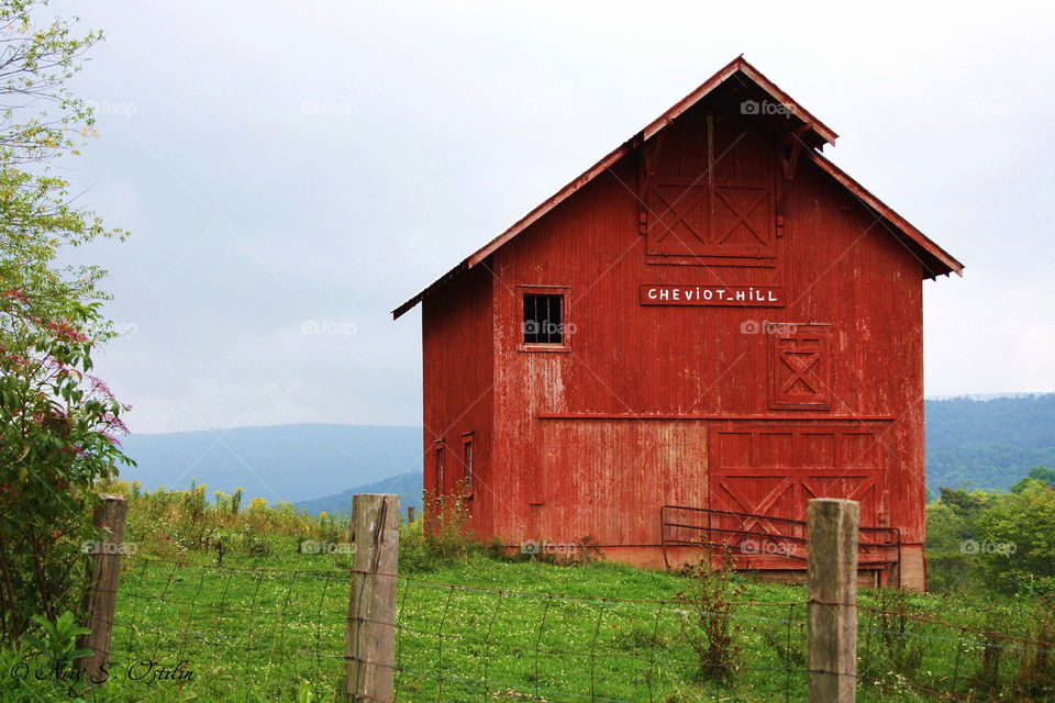 Red cabin on grassy land