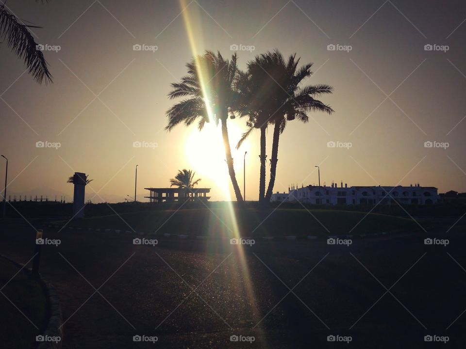 Sunset in Egypt