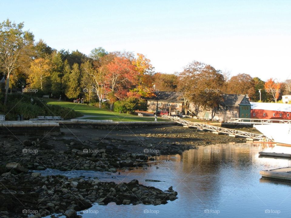 Beautiful Maine
