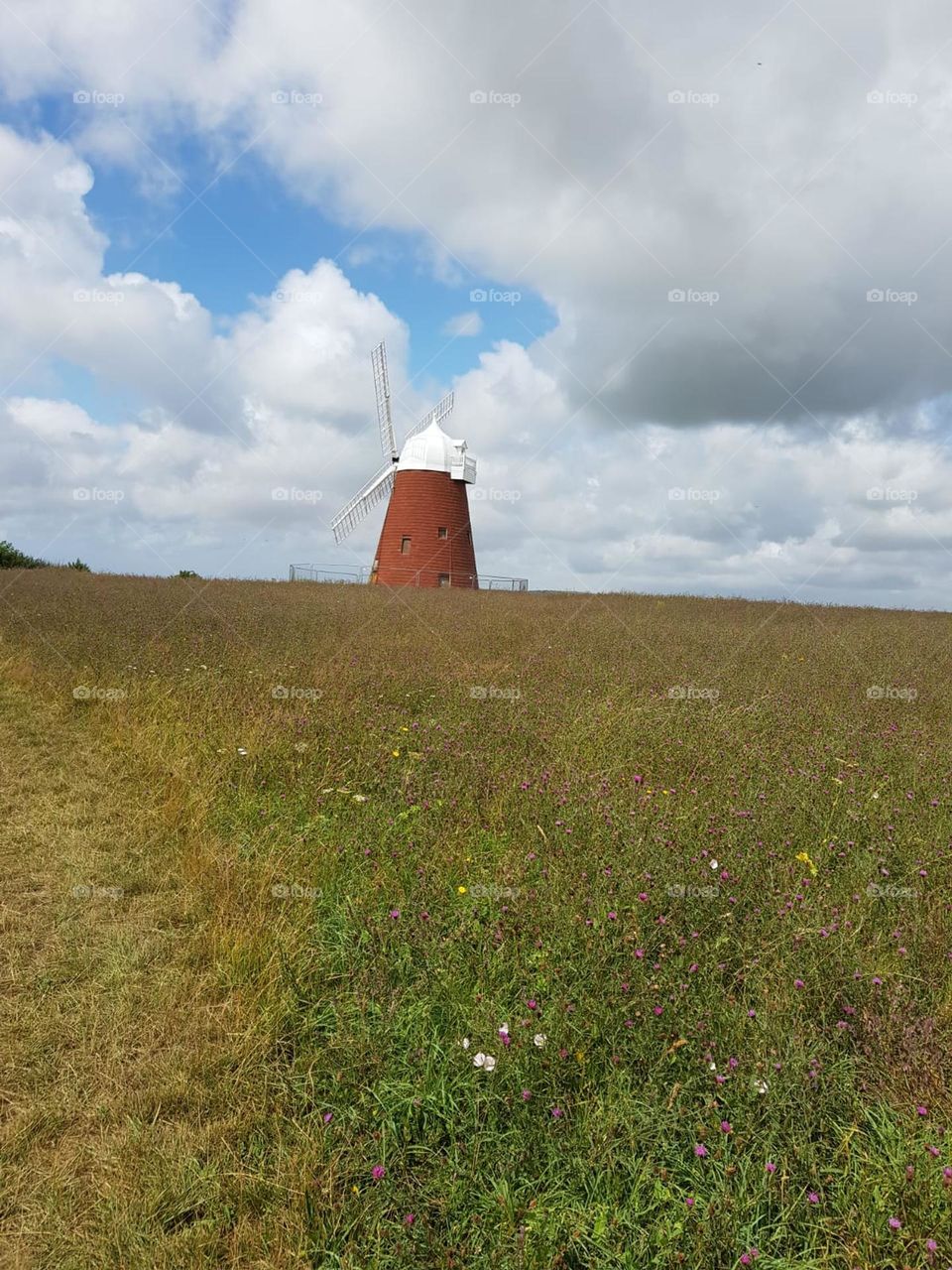 View of windmill looking up wild flower hill