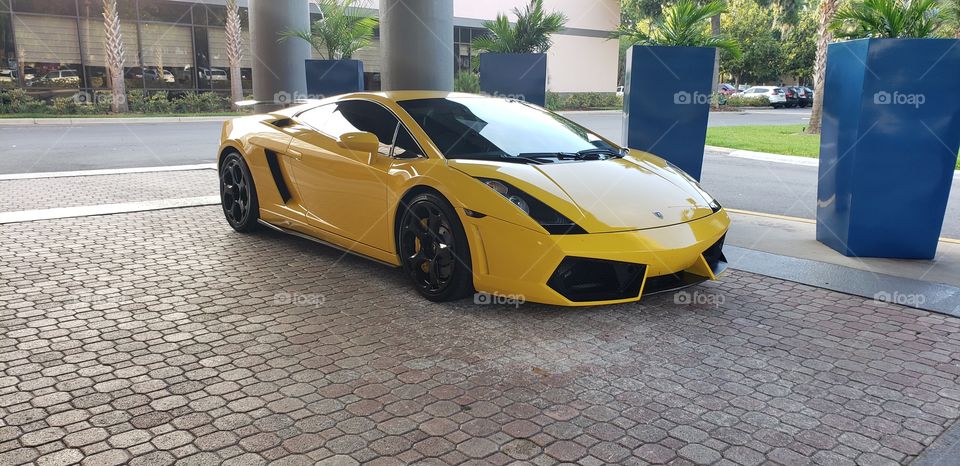 yellow Lamborghini