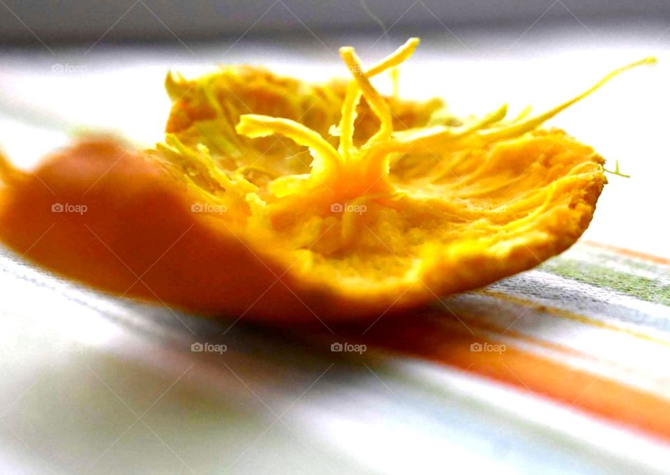 Orange Dissection