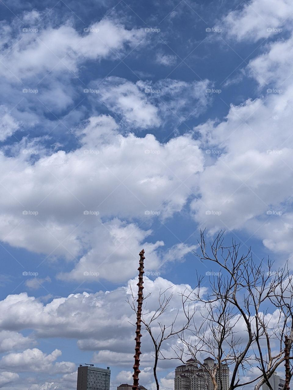 summer sky view☁️☁️