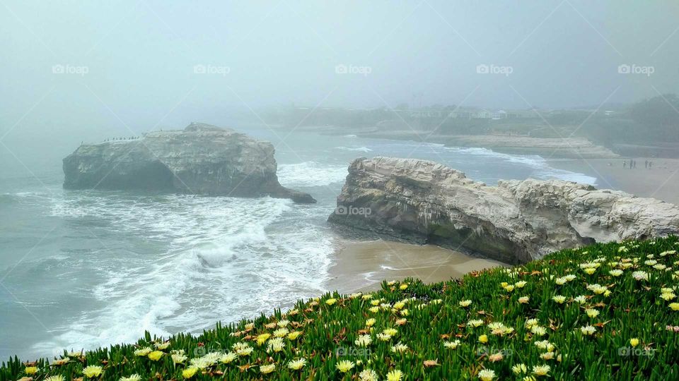 View of beach during foggy weather