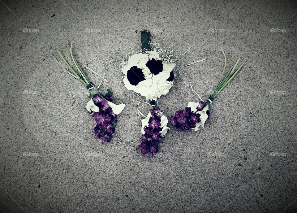 Flowers in the sand