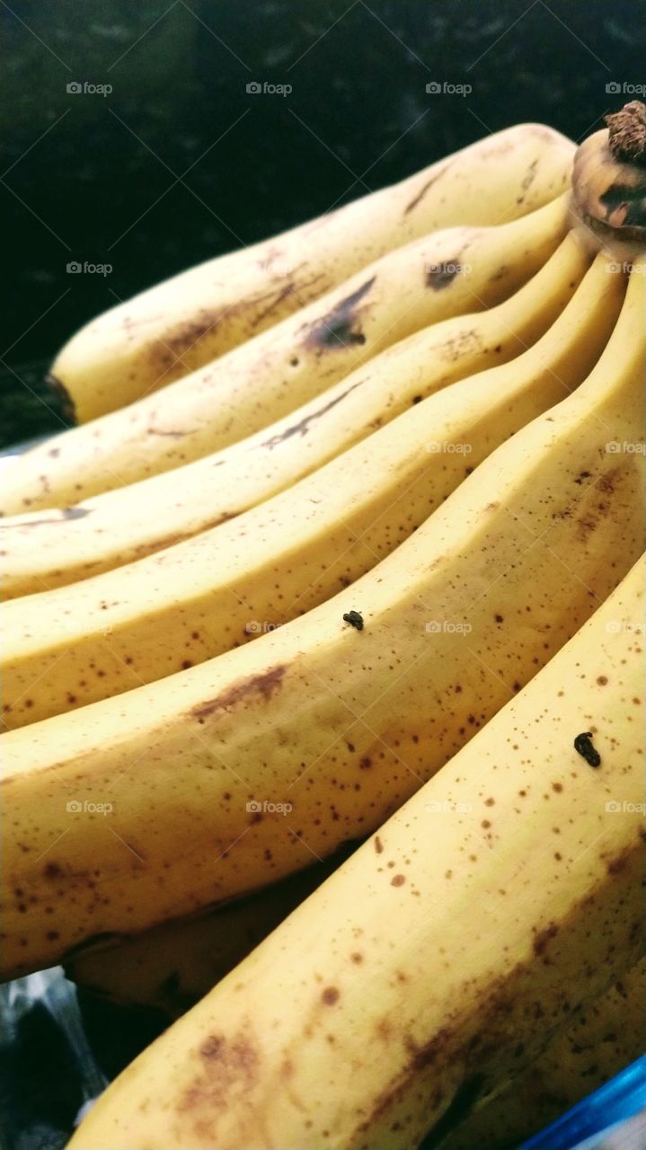 Bananas.