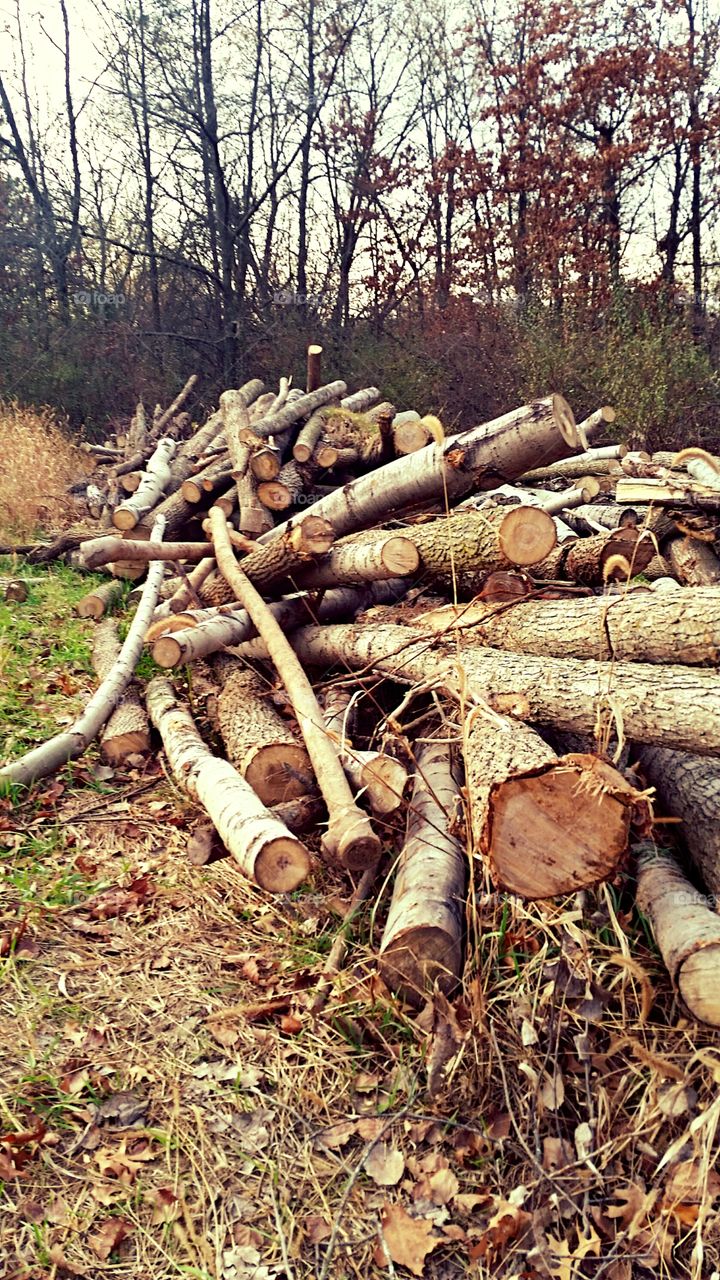 Log Pile