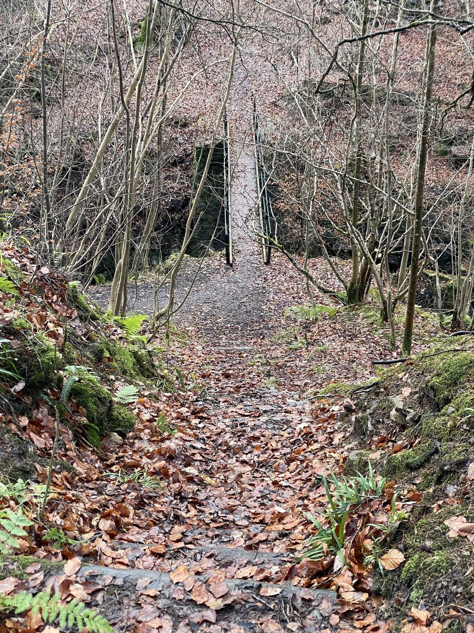 Looking back at the footbridge I have just crossed and stepping stones up the mountainside …. Very muddy and treacherous walk here !  