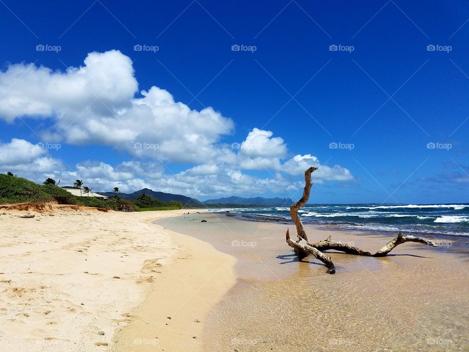 View of beach in summer