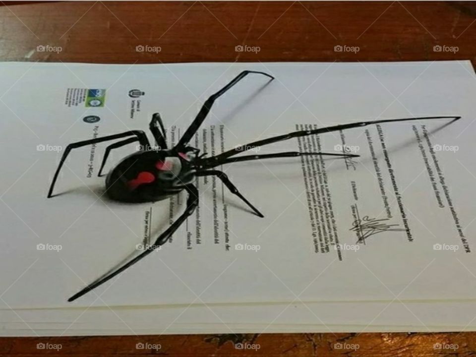 Fake Spider 🕷️🕸️