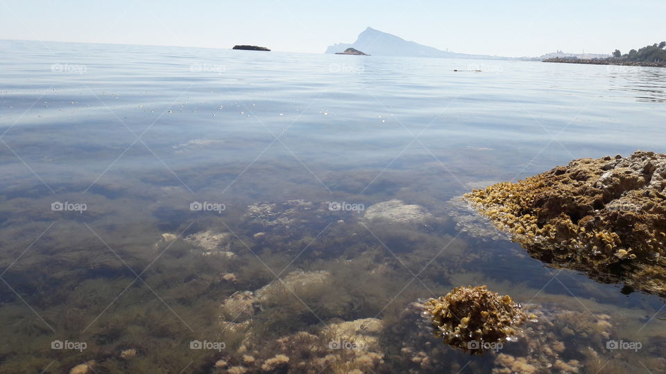 mar . montaña. Benidorm