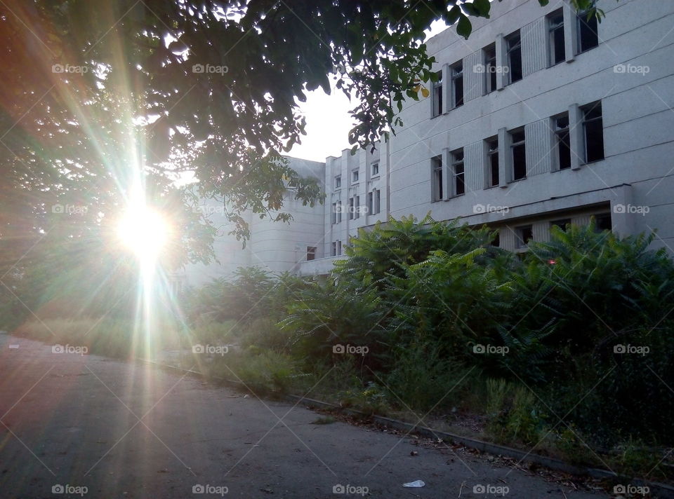 Упадок архитектура запустение