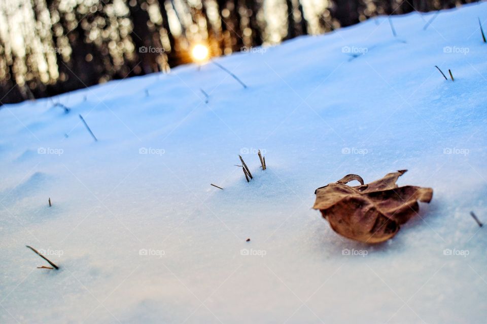 Outdoor winter scene