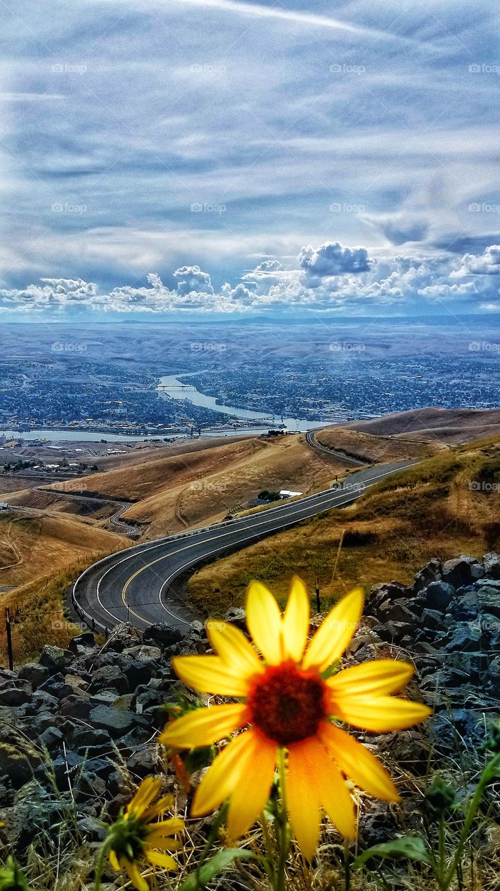 Lewiston Idaho