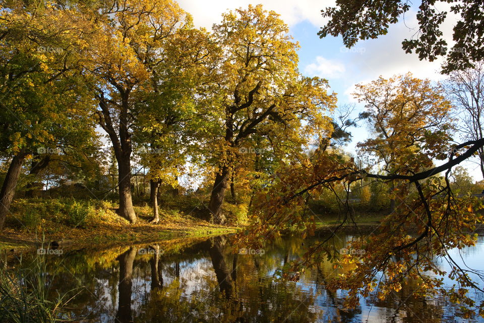 Autumn park with a pond