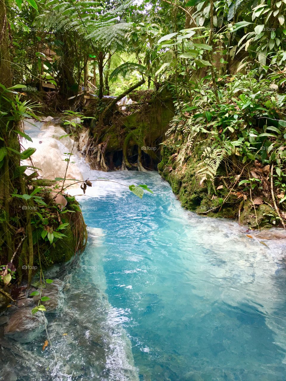 Rincón de la Vieja, Upala, Costa Rica