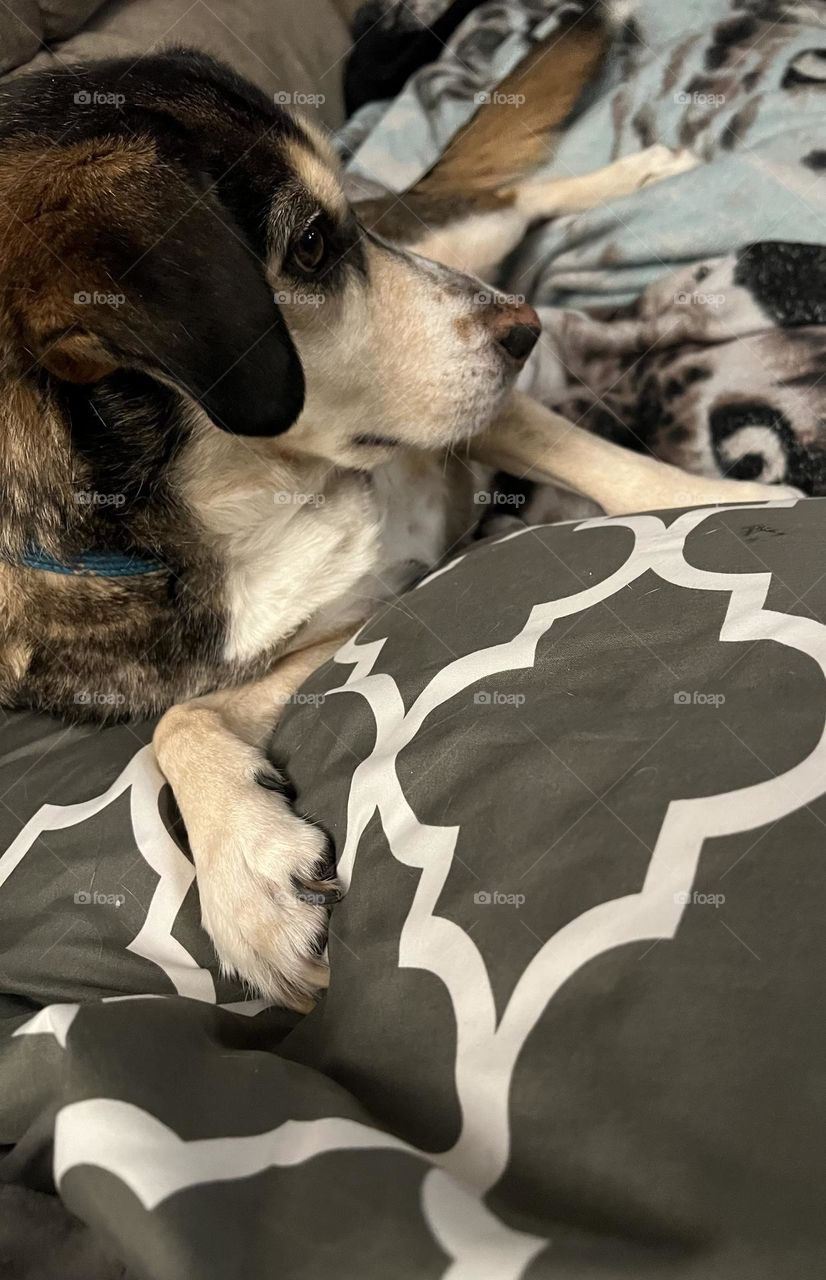 Relaxing on the couch