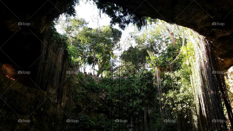 Cenote from below