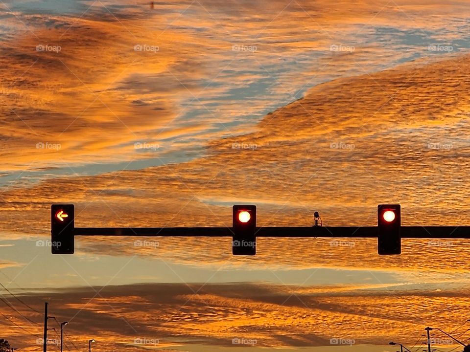 Traffic light...