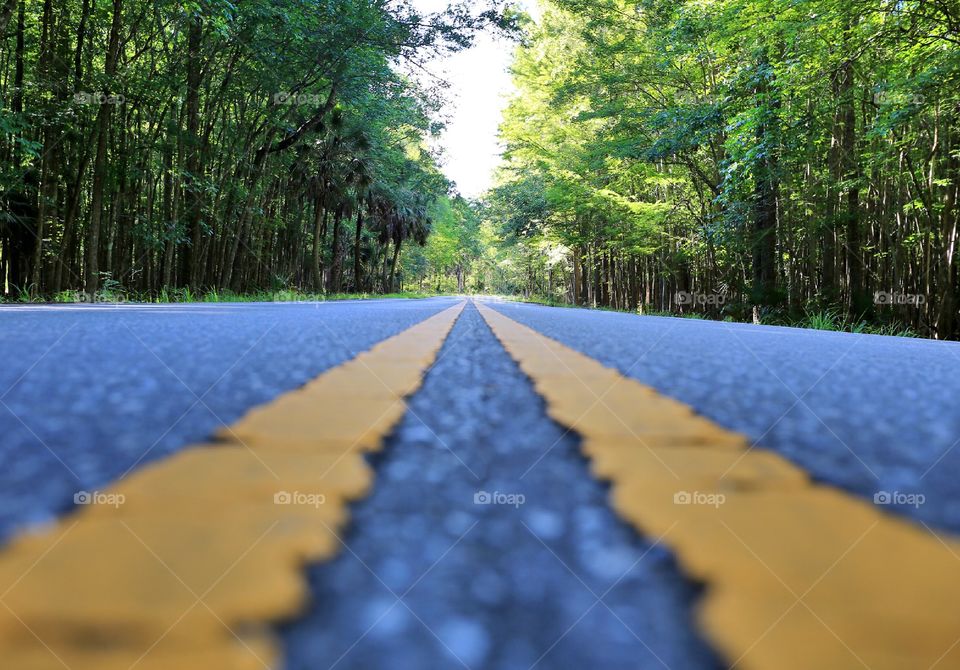 Road to heaven. The road that takes us to many wild adventures in FL. 