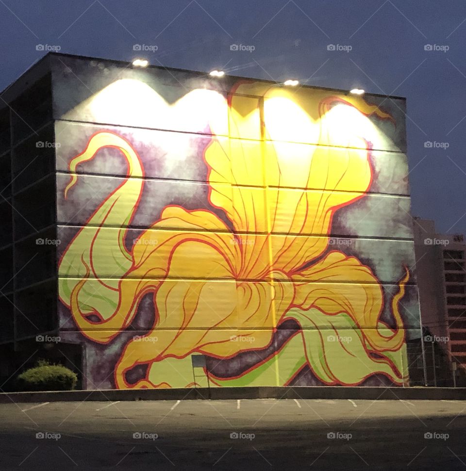 Mural of Yellow Flower