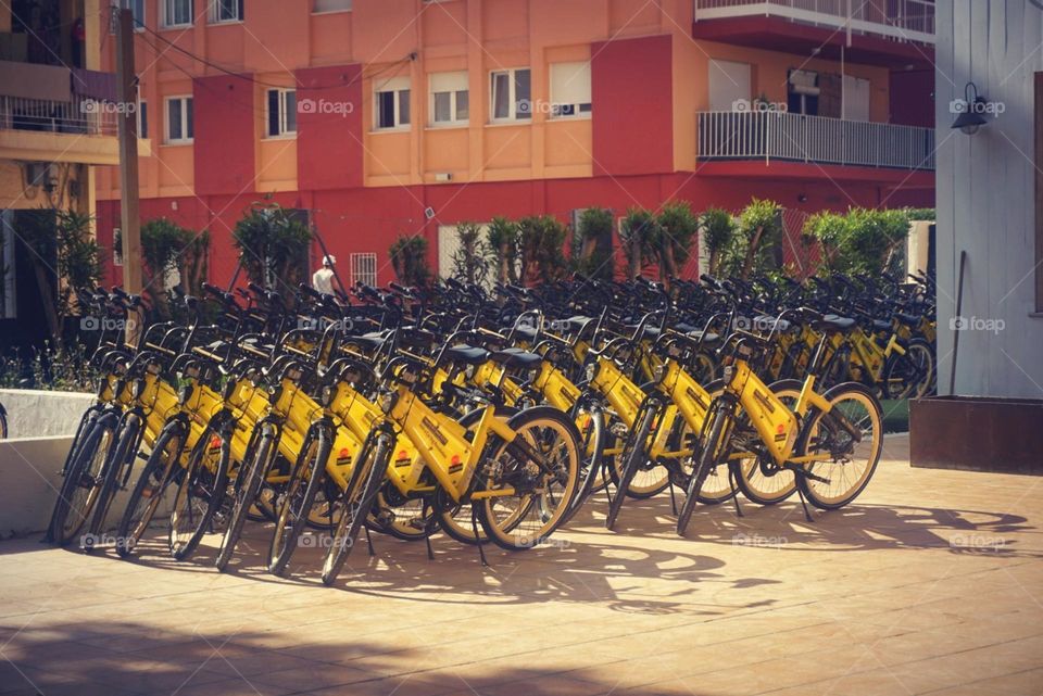 Advice#line#bicycles#yellow