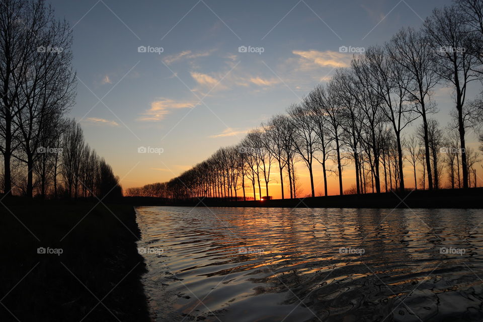 Sunset, water and trees