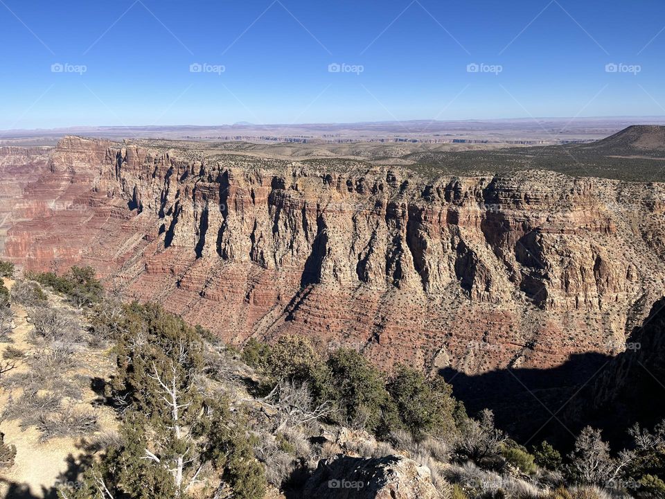 Large Grand Canyon Sunny South Rim desert plants Arizona