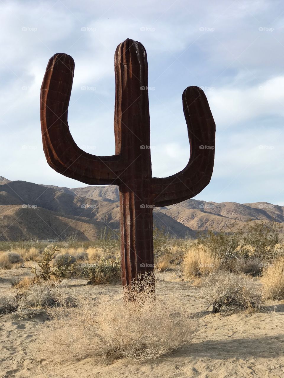 Saguaro in Metal