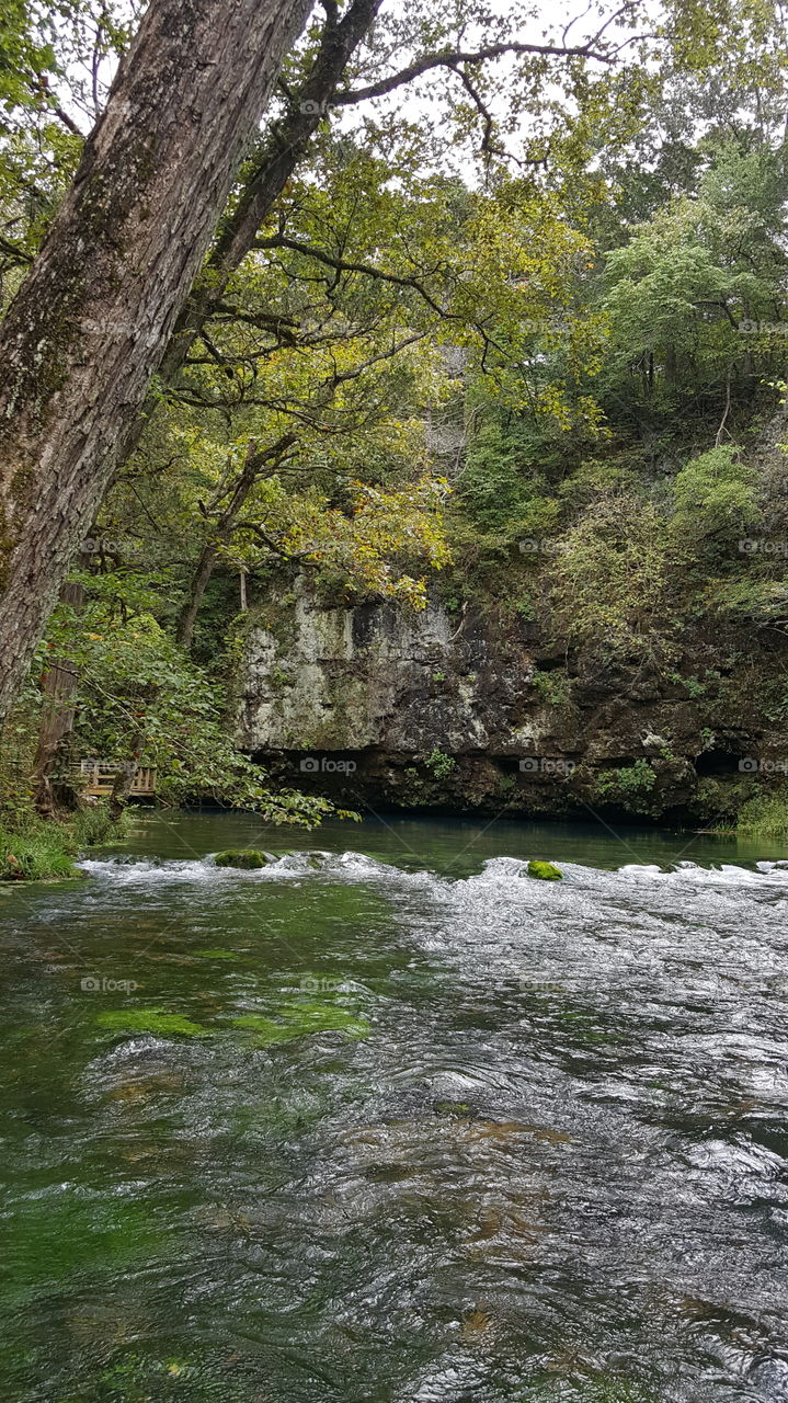 Genesis 1:9 KJV
And God said, Let the waters under the heaven be gathered together unto one place, and let the dry land appear: and it was so.