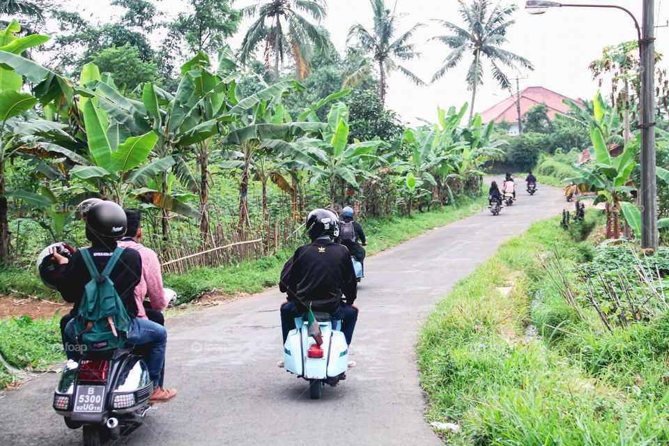 View of three classic vespas on a road walking together against a backdrop of green trees.