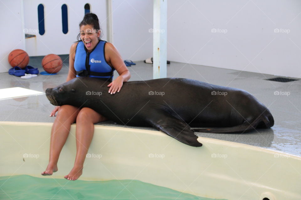 Sea lion love