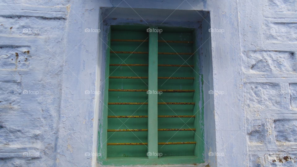 Close-up of closed green window